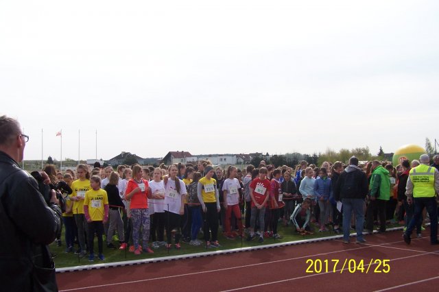 biegi 24